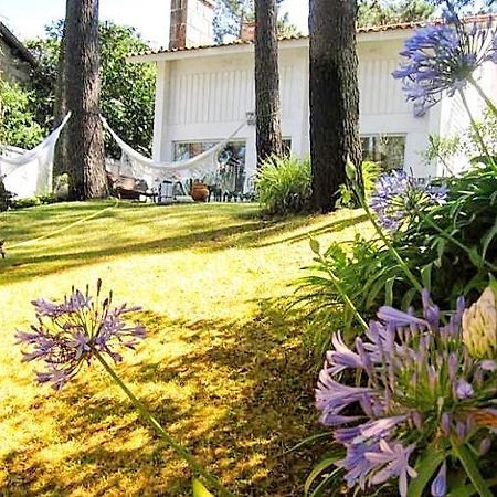 Cabedelo Beach House Βιάνα ντο Καστέλο Εξωτερικό φωτογραφία